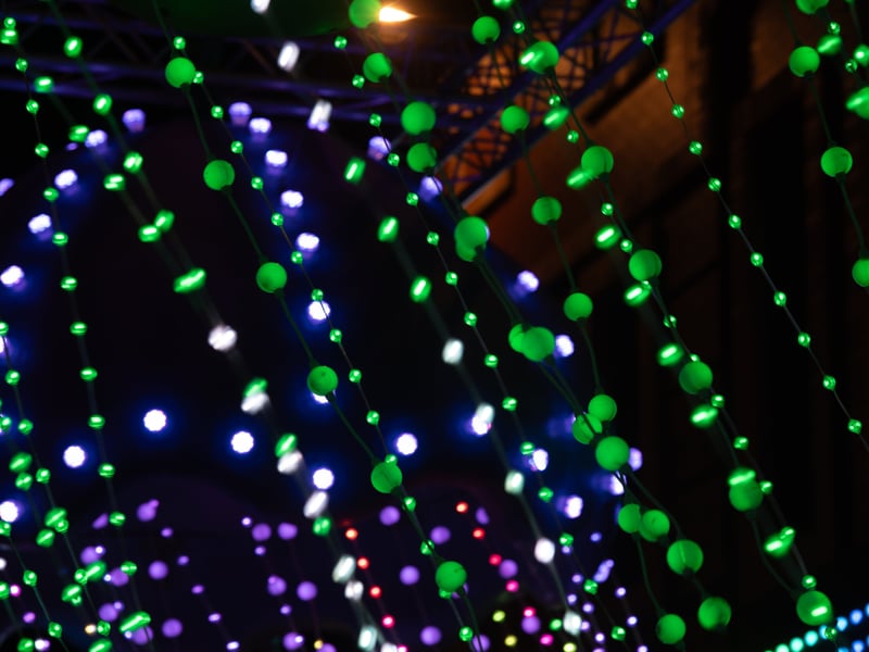Lightpool 2026 art trail on opening night in Blackpool. Photo: Lucinda Herbert