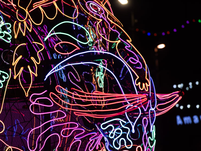 Lightpool 2026 art trail on opening night in Blackpool. Photo: Lucinda Herbert