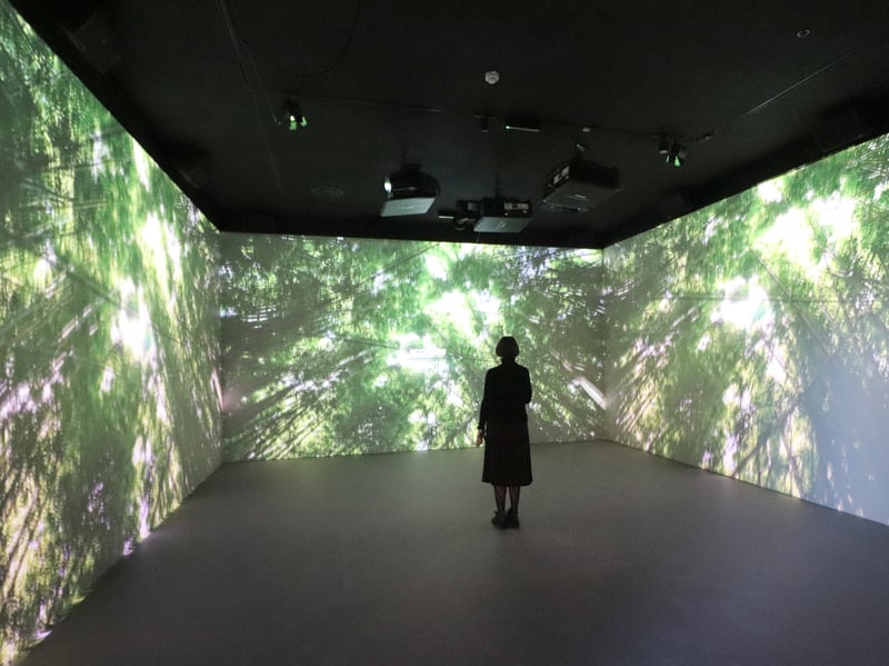 Immersive display of Marine experience on October 22.
