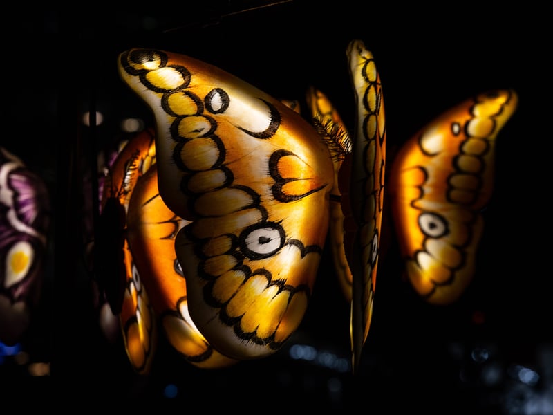 Lightpool 2026 art trail on opening night in Blackpool. Photo: Lucinda Herbert