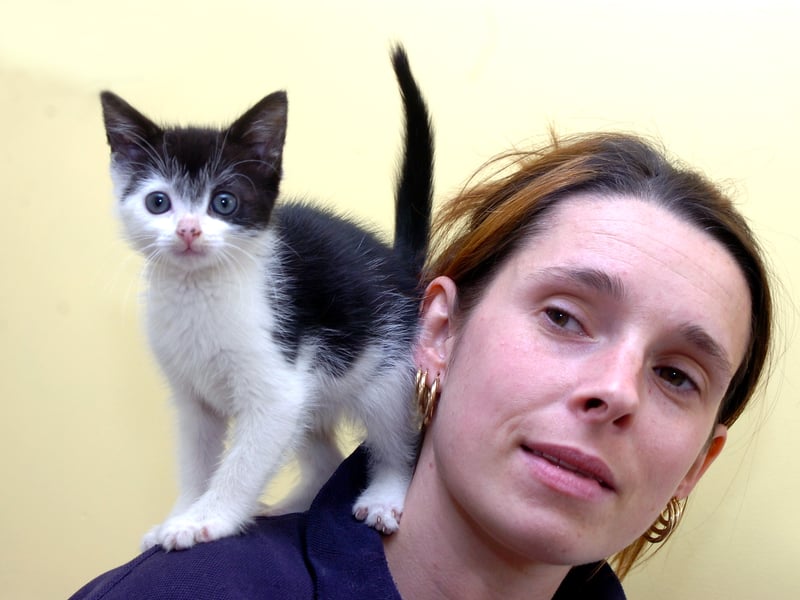 Bawtry RSPCA Animal Centre care assistant Laura Bullock, with eight week-old pussycat Timothy.