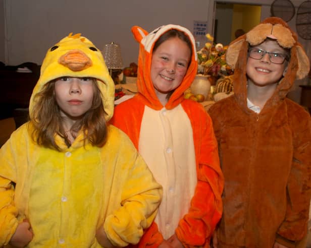 RSA Prep pupils at their Harvest show. They are Charlotte Moore as 'Duck', Mollie Best as 'Cat' and Enzo Garvan as 'Dog'