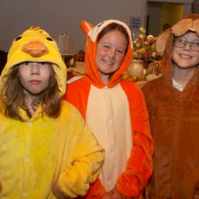 RSA Prep pupils at their Harvest show. They are Charlotte Moore as 'Duck', Mollie Best as 'Cat' and Enzo Garvan as 'Dog'