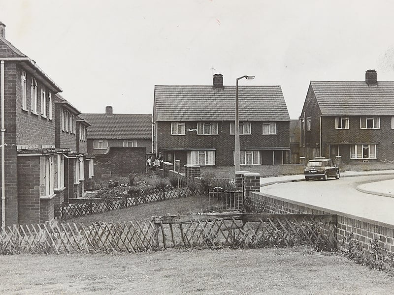 A quiet street scene along Florence Avenue in Lanesfield in June 1966. Residents on the street had their morning sleep shattered by the piercing "dawn chorus" of an unruly guinea fowl. Local resident Jim Cox of No. 58 had to alert the police after the bird's deafening cries disturbed the neighbourhood early in the day. Do you remember living in Lanesfield back in the 1960s or recall this unusual feather-ruffling incident?