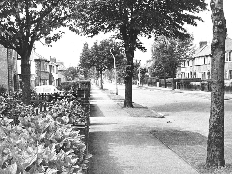 Lush summer foliage and mature trees line the wide footpaths of Deyncourt Road, Wolverhampton, in July 1966. Traditional semi-detached homes with well-kept front gardens face the quiet, leafy street, capturing a idyllic suburban scene during the height of summer. Do you remember strolling down Deyncourt Road or living nearby back in the summer of 1966?