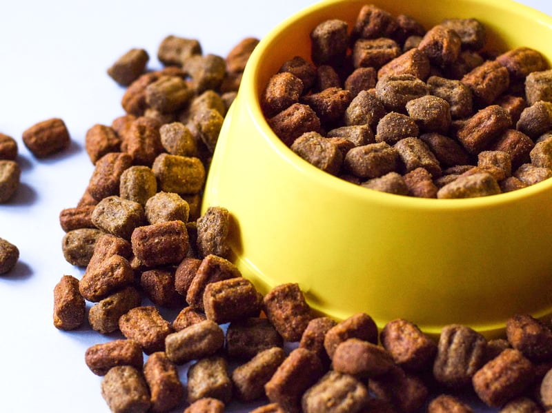 Remember your four-legged friends to and make sure you have food supplies. Also take into account that you'll need more water if you are a dog or cat household.