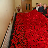 Newtownstewart Presbyterian Church Festival of Poppies
