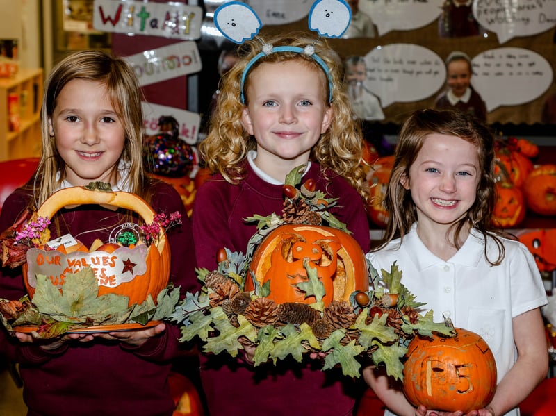 Bush Primary School P5 pupils, Ellie, Bella and Sophia, show off their pumpkins. AM264414