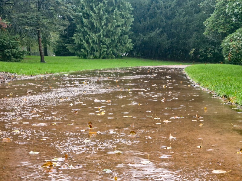 Storm Austen hits the West Midlands