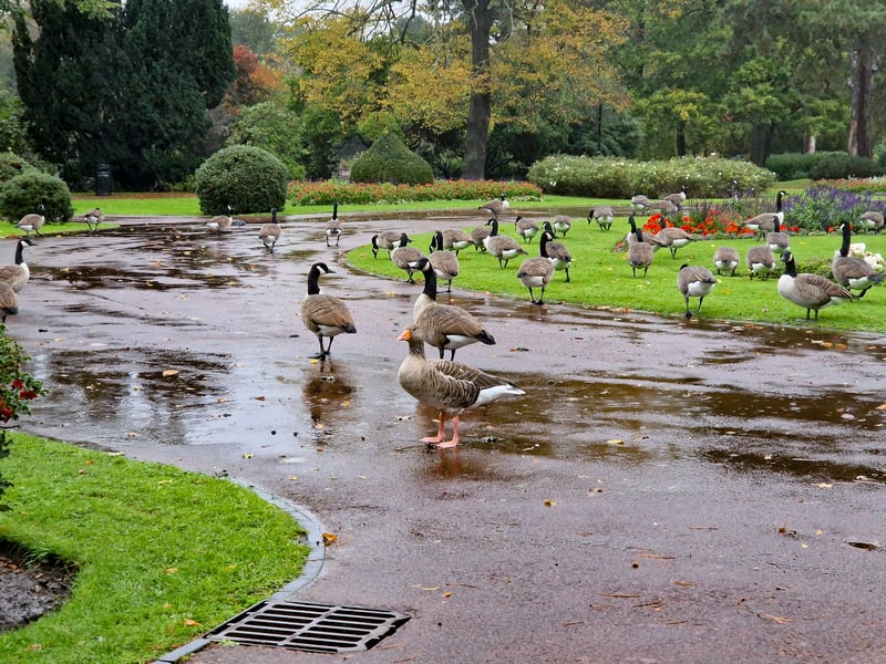 Storm Austen hits the West Midlands