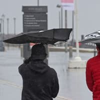 Storm Boelo warning: Council closes outdoor facilities and recycling centres