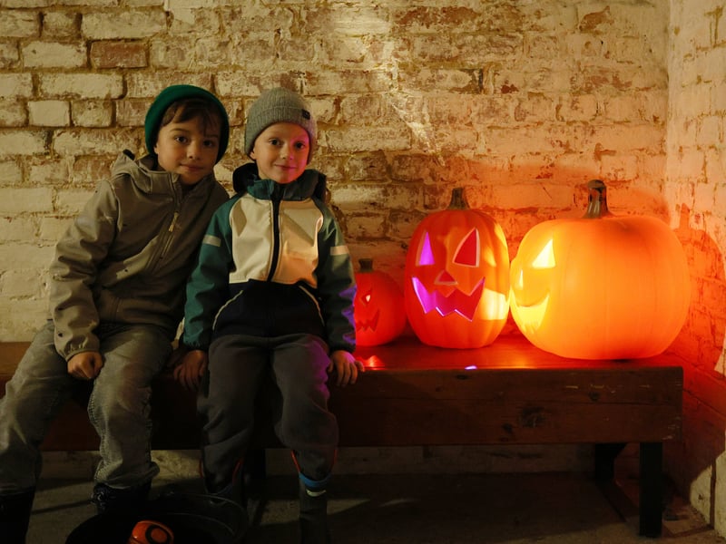 Cole, 7, left, and Jude, 5. Spooky fun and Portsmouth100 Lions at Fort NelsonPicture: Chris Moorhouse (241026-097)
