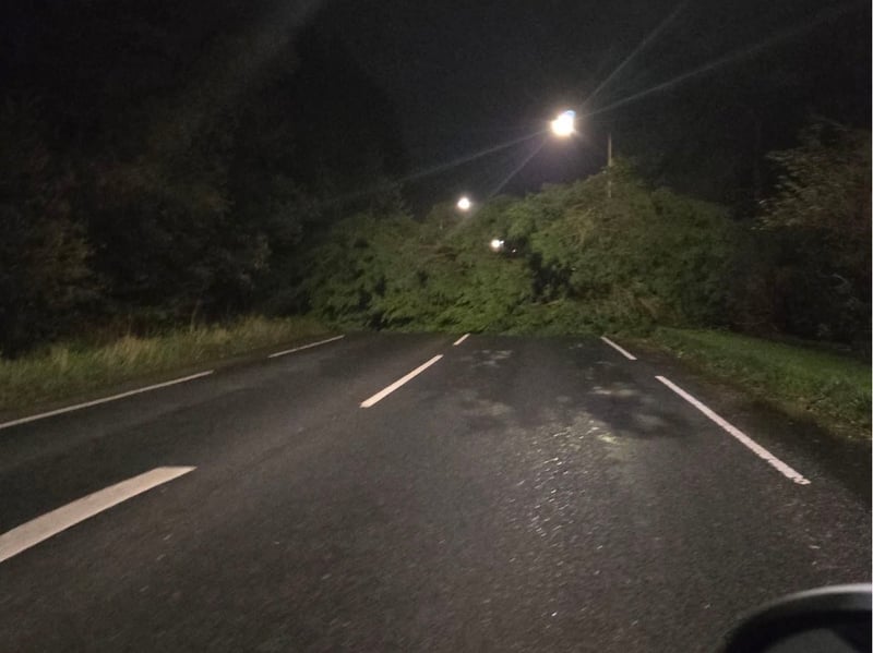A tree collapsed into the A6 near Garstang in the early hours of the morning.