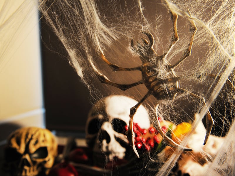 Halloween  at Temple Newsam