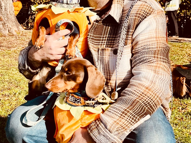 Matthew Pearson, from Wednesbury, West Midlands, with Pablo and Peanut