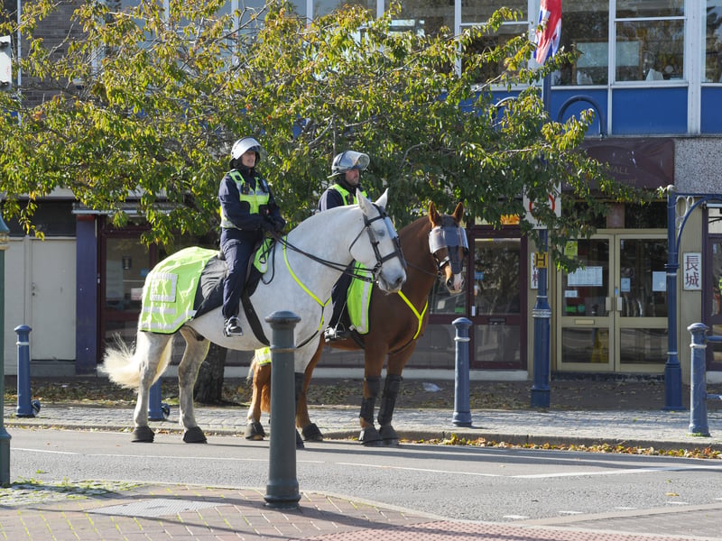 Police prepare for the protest.

Picture: Sarah Standing (251026-4751)
