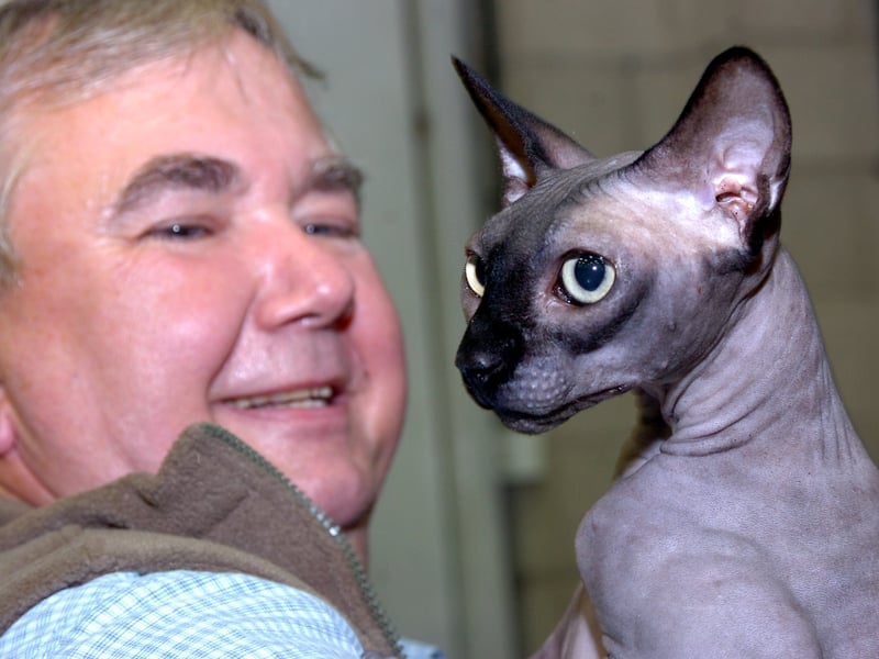 28 Oct 2006 

The Yorkshire County Cat Club held its 78th Champuionship Show at The Dome, Doncaster, on Saturday (28 October). Our picture shows Barry Newcombe with Sphynx cat Elliott.


