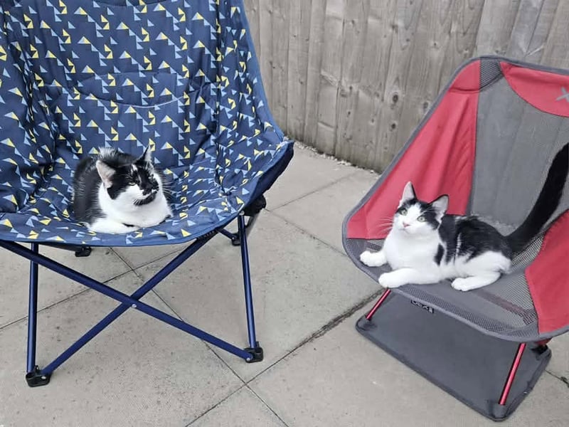 David Fox said: "Molly & George."