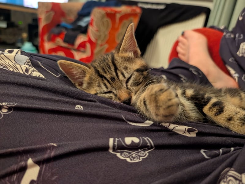 Finlay Ro-Ann said: "This is my 14 week old called Smokey."