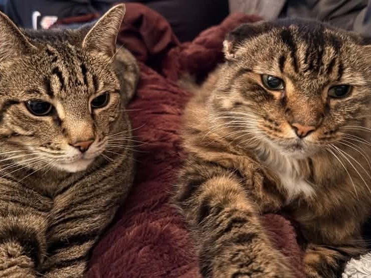 Kristyna Cherry said: "My babies Cisco & Missy Moo."