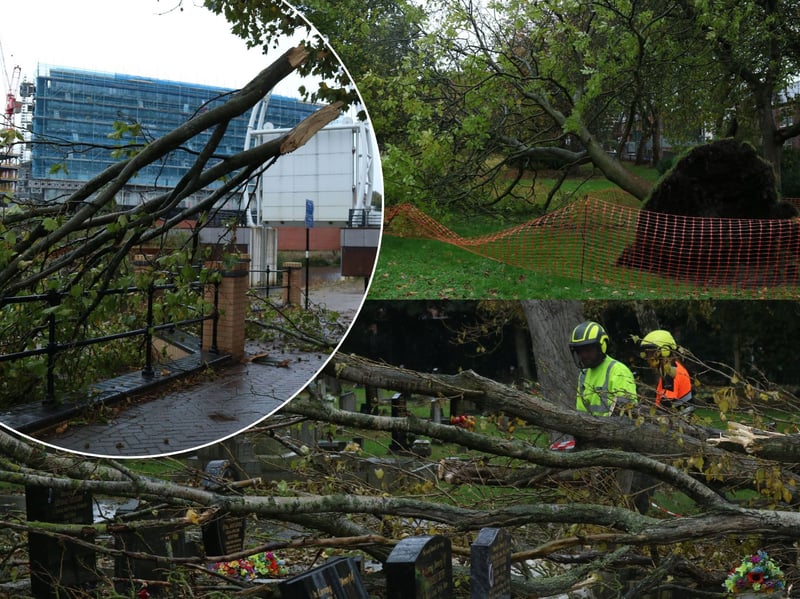 Storm Boelo has left a trail of destruction behind in Rotherham
