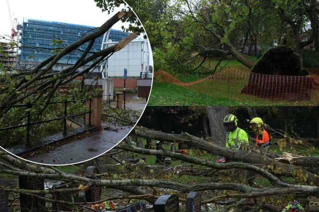 Storm Boelo has left a trail of destruction behind in Rotherham