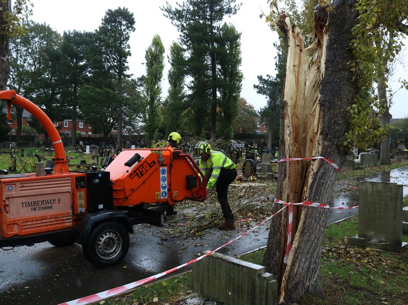 Council workers remove the fallen trees left behind in Maltby cemetery, in the wake of Storm Boelo
