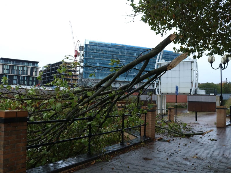 Large branches have partially blocked the canal path by Rotherham Lock, with the council offices just down the road