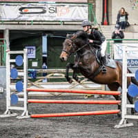 Record entries at Omagh High's Annual Charity Horse Show