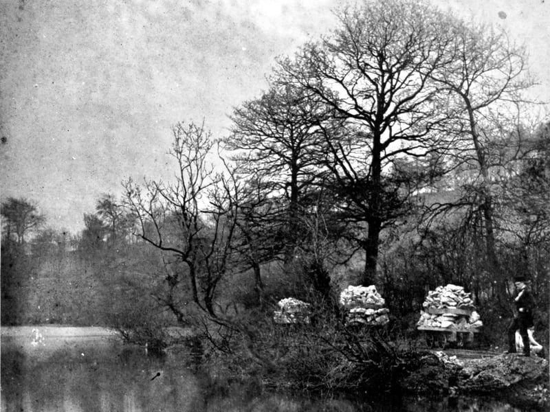 Here's a bit of industrial and transport history. These are Coalbrookdale Company plateway wagons loaded with limestone. The location is not given, but will be in the Ironbridge Gorge. This picture came from Shrewsbury author and historian the late David Trumper, but it was one of a number in an album he was given by a woman who did not want to be identified.