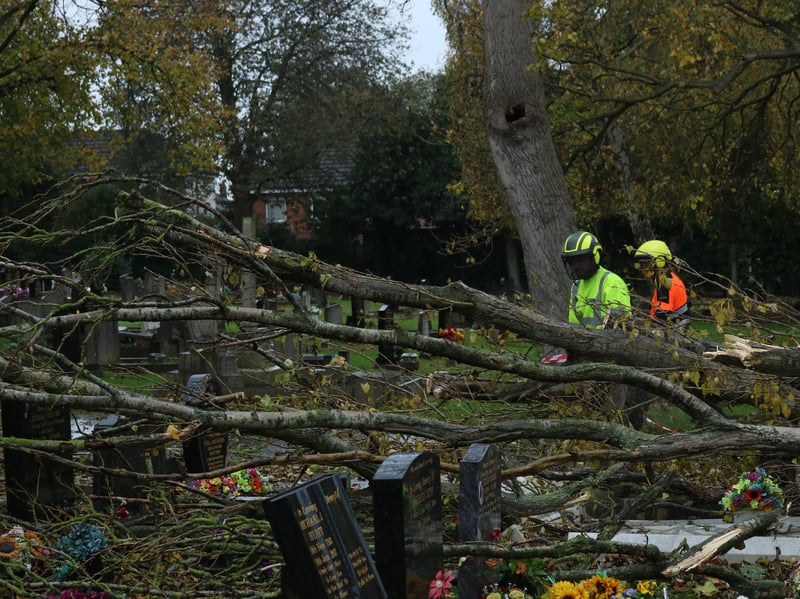 Several trees in Maltby cemetery on Grange Lane were destroyed by the high winds, with one collapsing and causing damage to several of the graves