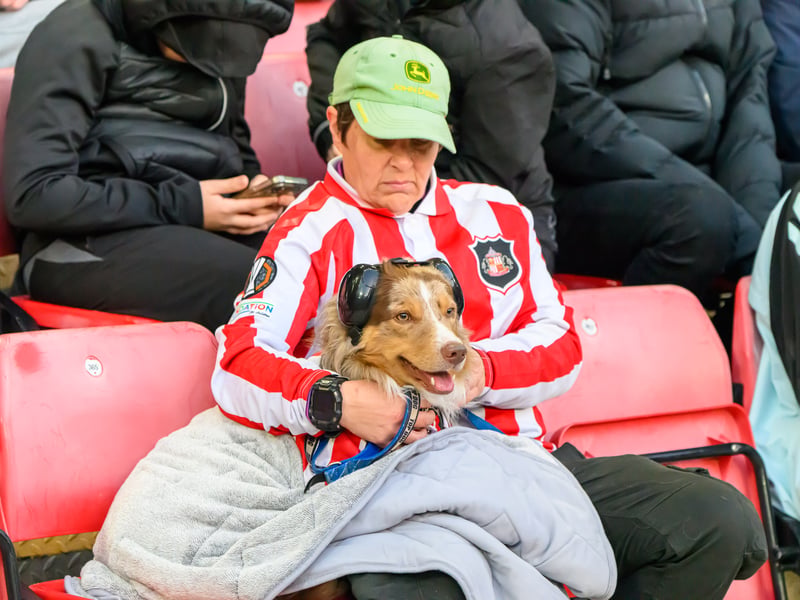 Sunderland fans in action at the Stadium of Light during the Premier League game against Leeds United. Photo by Chris Fryatt.