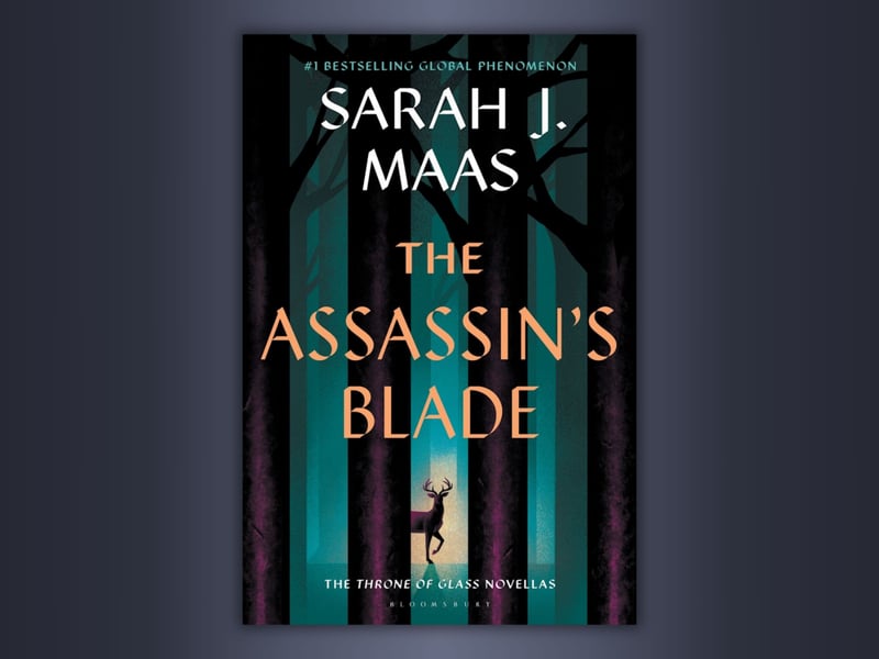 A series of prequel novellas from the Throne of Glass world collected into one volume, The Assassin’s Blade was published in 2014. It has an average of 4.17 stars across more than 81,000 ratings on Goodreads. The series of novellas includes: The Assassin and the Pirate Lord; The Assassin and the Healer; The Assassin and the Desert; The Assassin and the Underworld; and The Assassin and the Empire.
