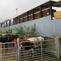 Gortin Mart