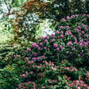 Armagh Gardening Club to meet this week.