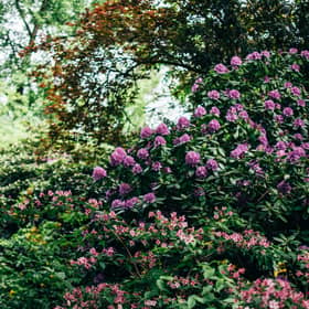 Armagh Gardening Club to meet this week.