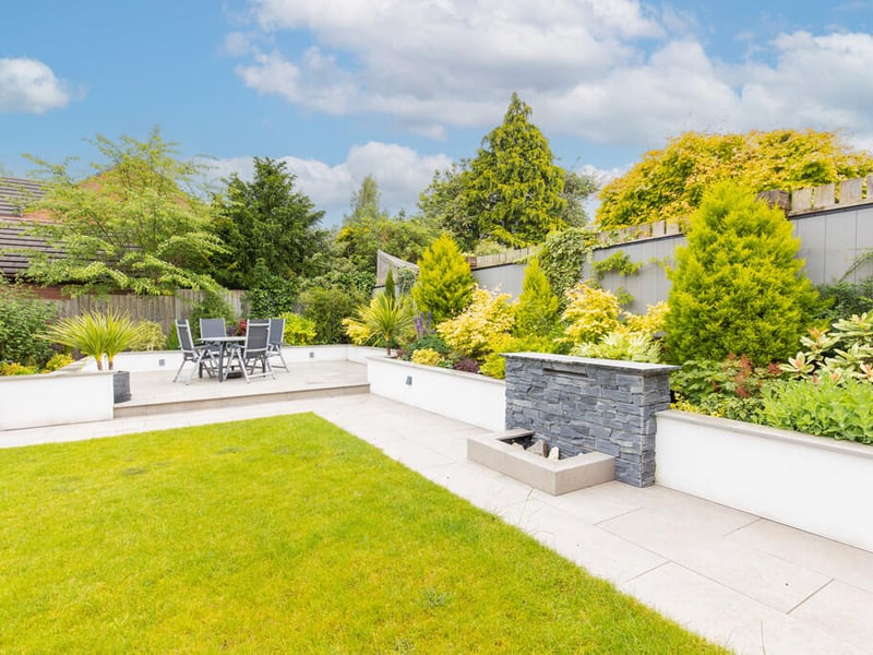 More of the back garden