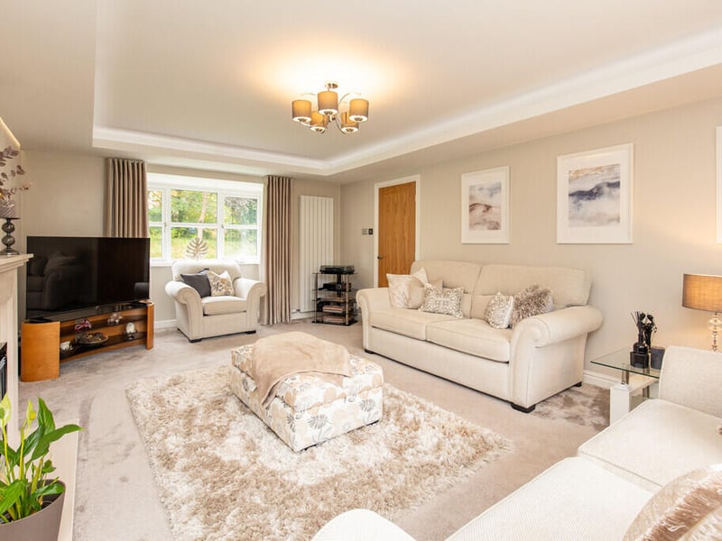 The living room