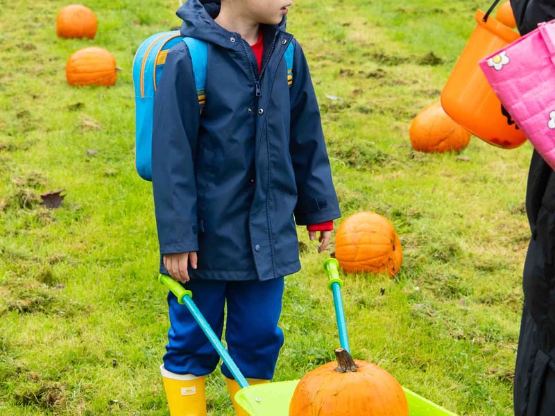 Looking for a way out of the pumpkin patch.