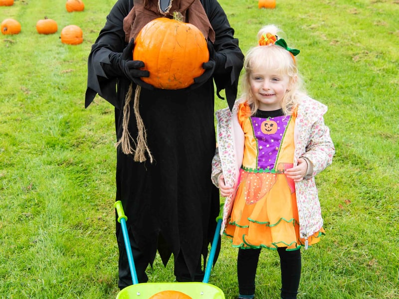 Posing with pumpkins at Ballycraigy Primary School.
