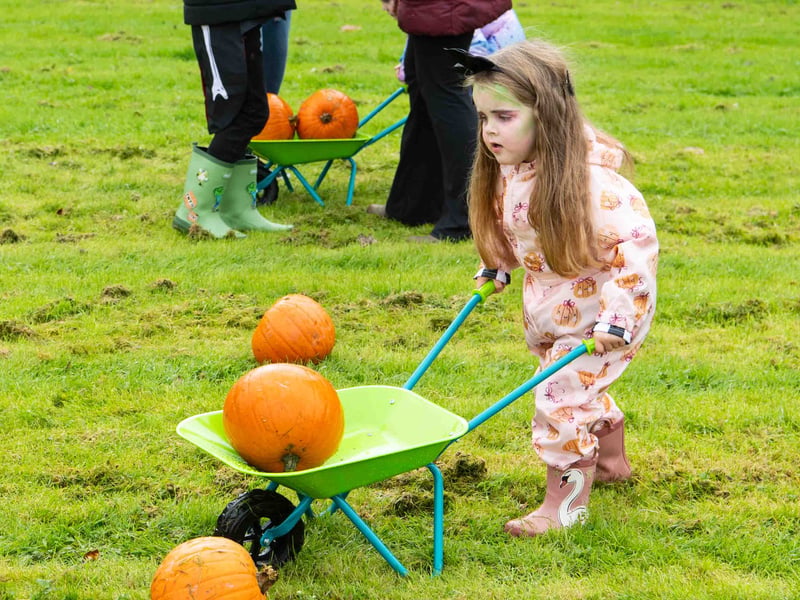 Pumpkin picked and ready to go.