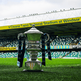 The Clearer Water Irish Cup Trophy.