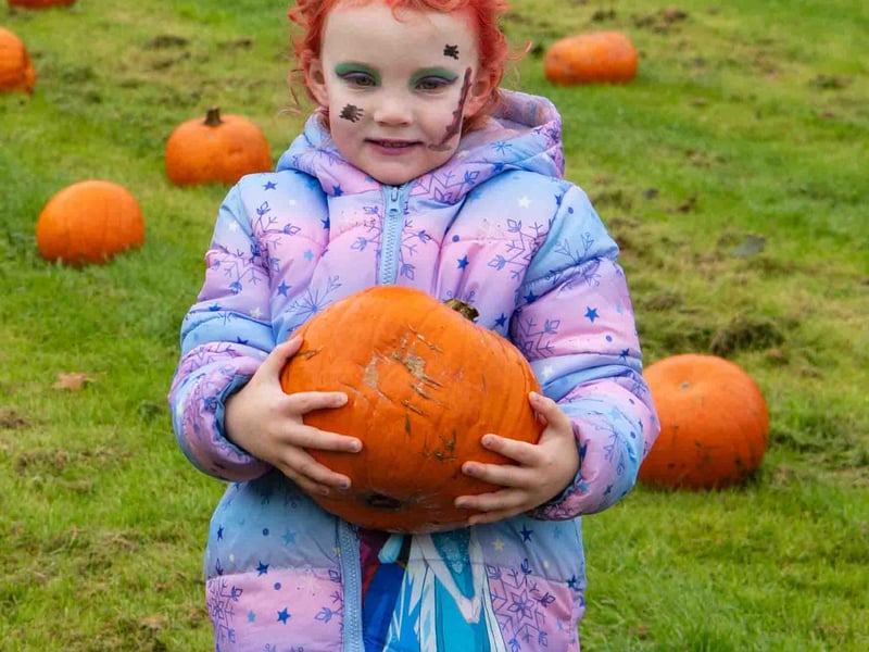 There were plenty of pumpkins to pick at the Ballycraigy Primary School pumpkin patch.