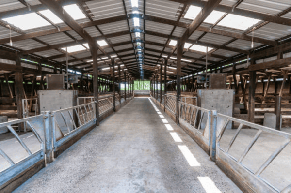 Inside empty farm shed stock image