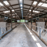 Inside empty farm shed stock image