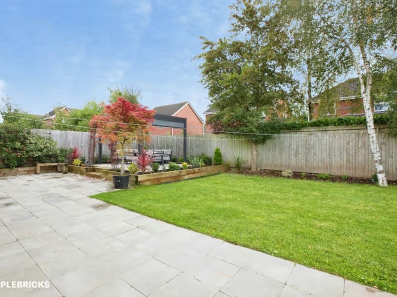 The back garden