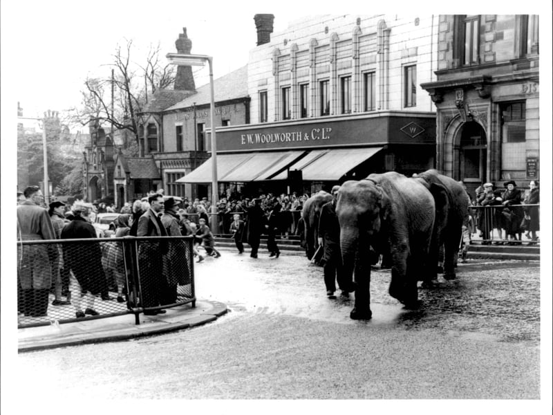 Woolworths in Market Street, Chorley - May 1954