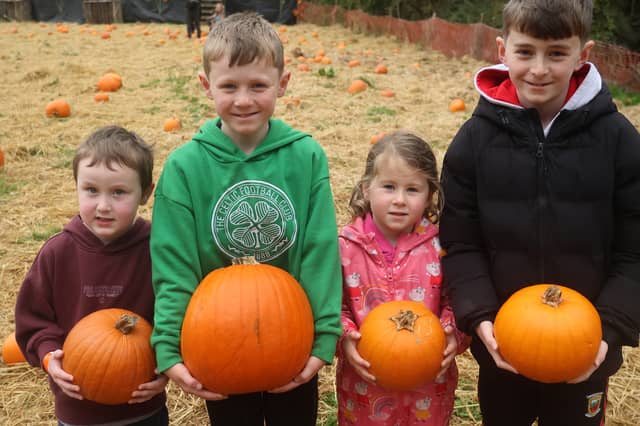 Liam, Andy and Kate Ann Reilly enjoying the Curraghchase Pumpkin Patch 2026 PICTURE:BRENDAN GLEESON