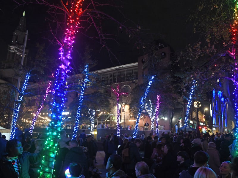 Lit-up trees on Millennium Square.