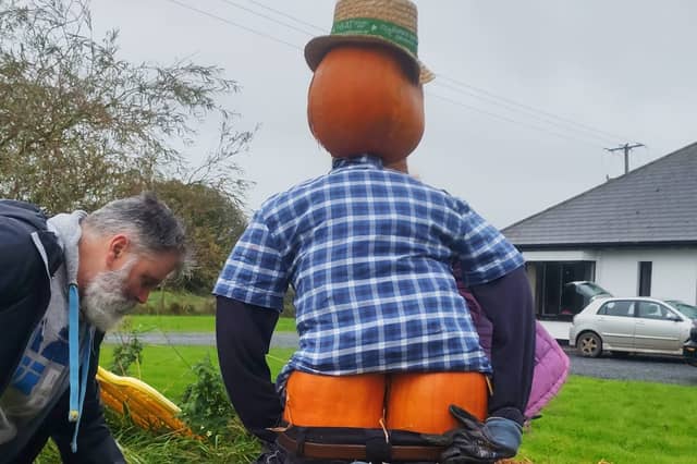 Scarecrow competition entry in Ballyorgan, Limerick